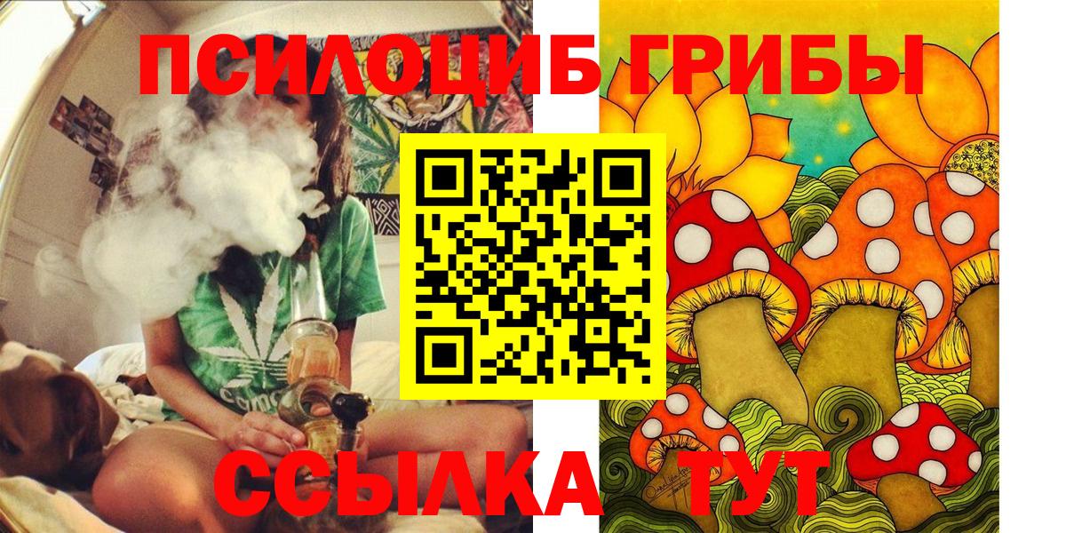 Псилоцибиновые грибы GOLDEN TEACHER Осинники