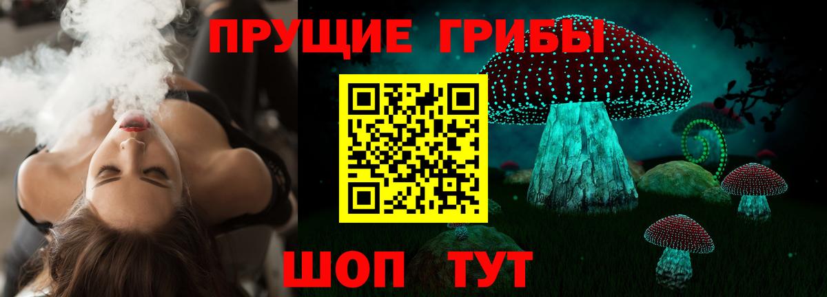 Галлюциногенные грибы ЛСД  Галлюциногенные грибы Psilocybine cubensis  Осинники  Вход с VPN 